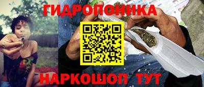 шишки Кизилюрт
