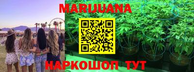 apvp Кизляр