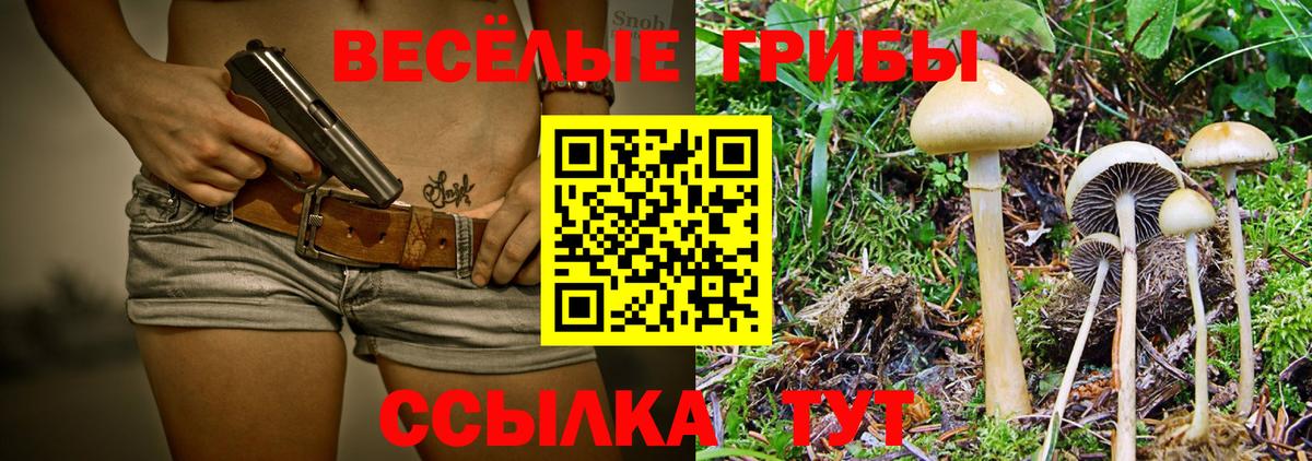 наркота  Псилоцибиновые грибы Psilocybe  Вход с VPN  Галлюциногенные грибы прущие грибы  Горячий Ключ 