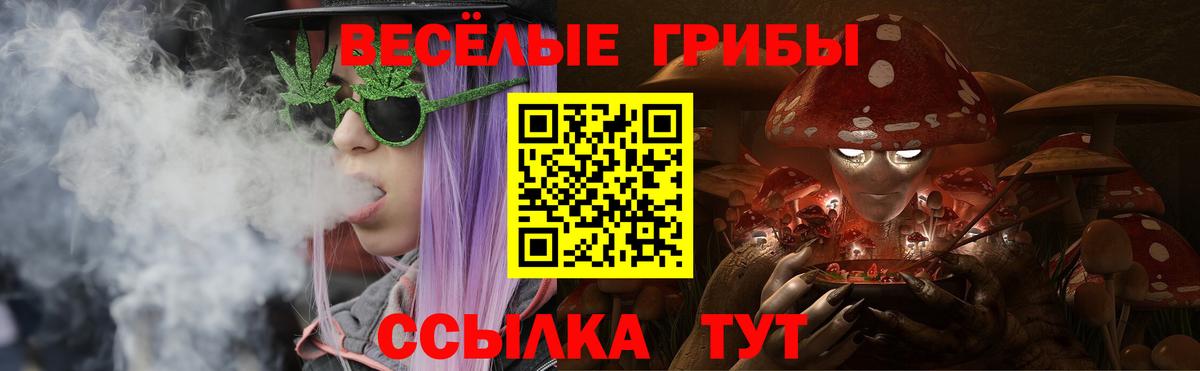 Псилоцибиновые грибы Psilocybine cubensis Горячий Ключ